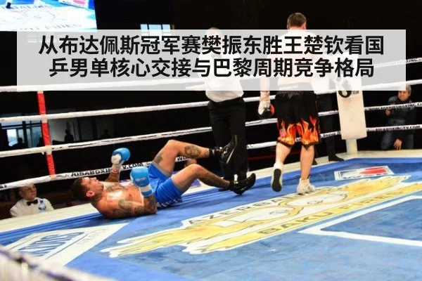 从布达佩斯冠军赛樊振东胜王楚钦看国乒男单核心交接与巴黎周期竞争格局