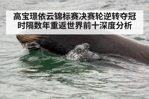 高宝璟依云锦标赛决赛轮逆转夺冠 时隔数年重返世界前十深度分析