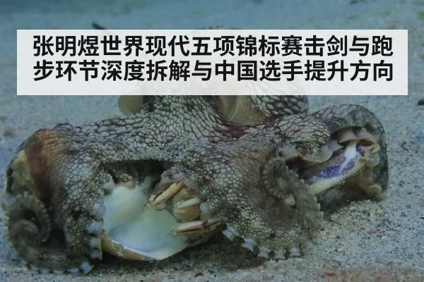 张明煜世界现代五项锦标赛击剑与跑步环节深度拆解与中国选手提升方向